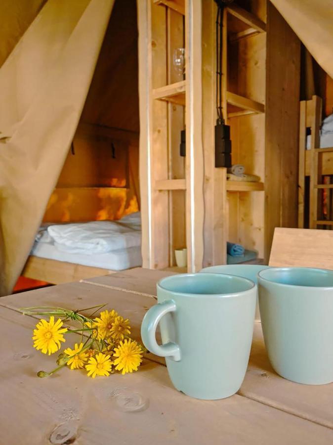Safari Tent M - Camping Belle-Vue ベルドルフ エクステリア 写真